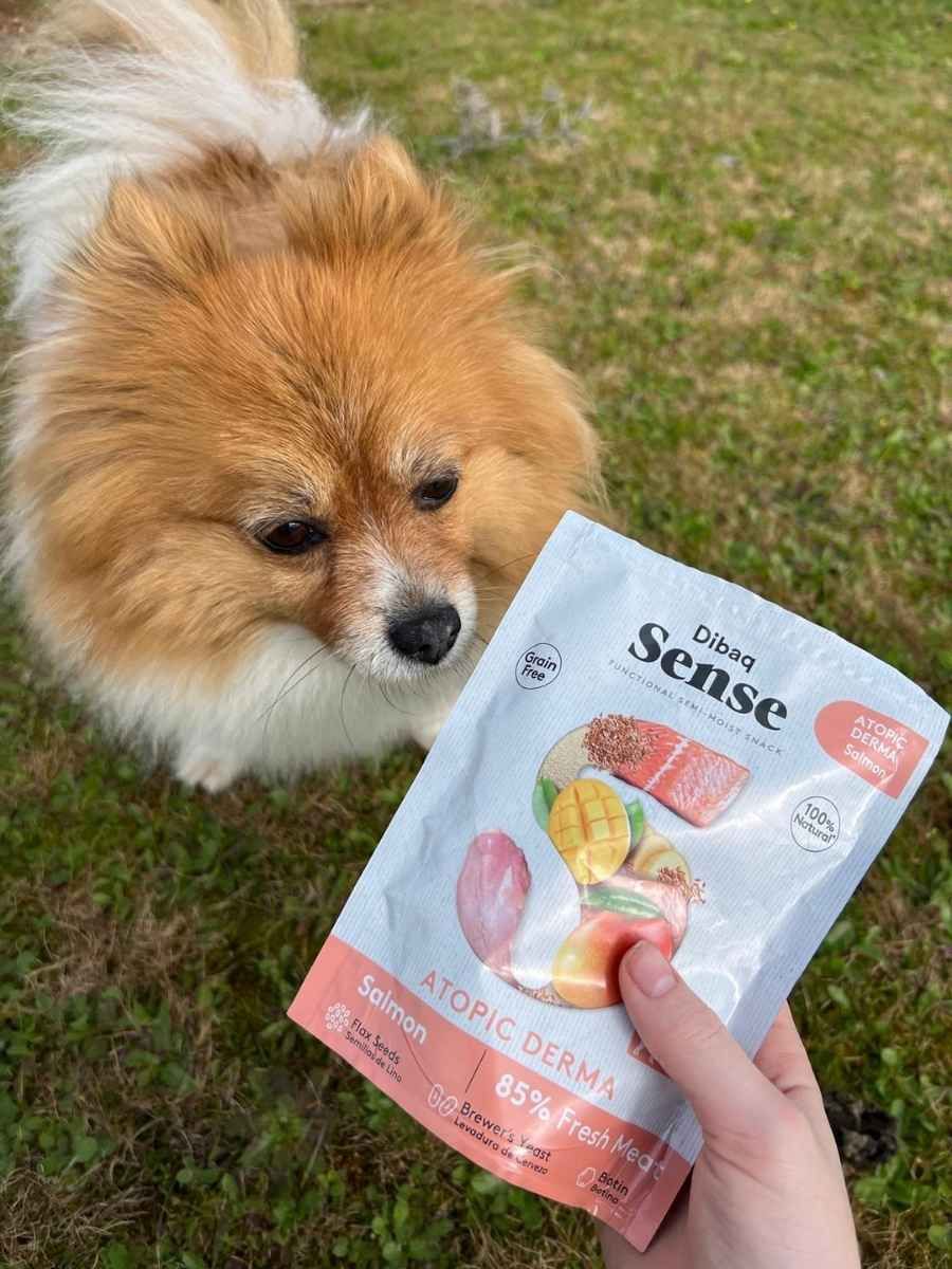 Comida para perros 6 Comida para perros - lady