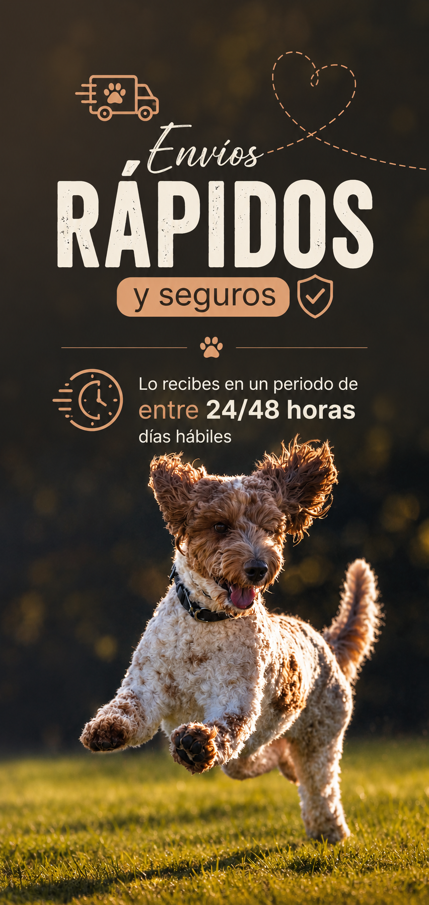 Comida para perros 5 Comida para perros - Version movil envio rapido y seguro